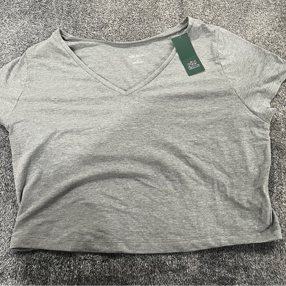 Wild fable gray crop baby tee